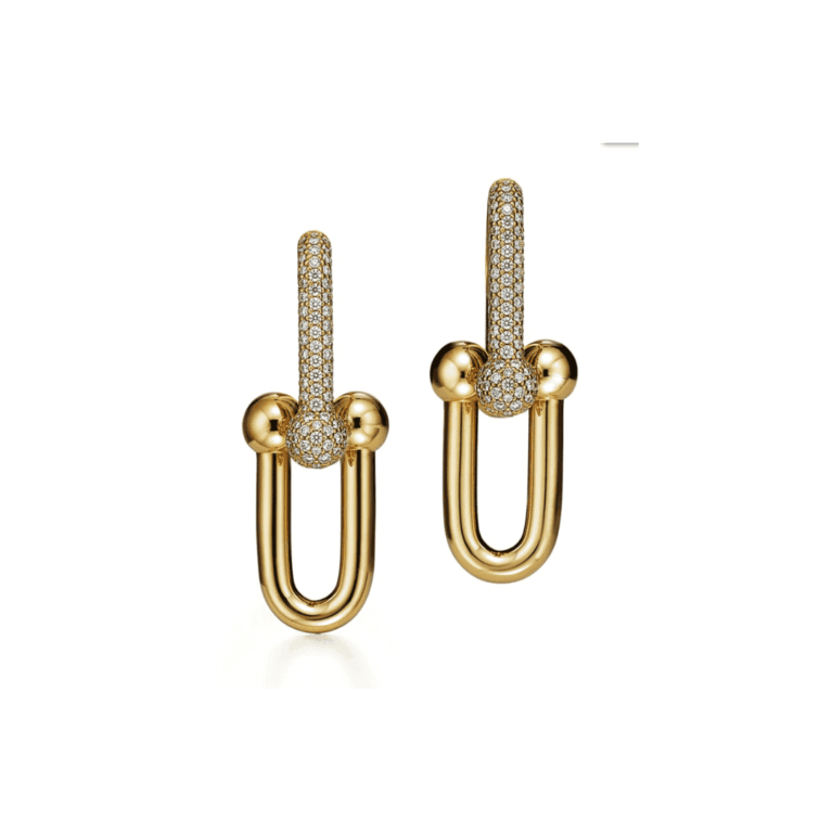 HardWear Large Link Earrings